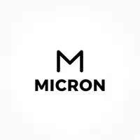 11. MICRON